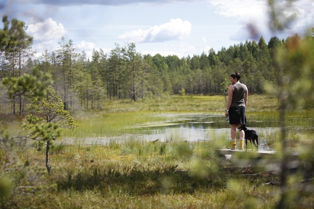 Hatlamminsuo nature trail