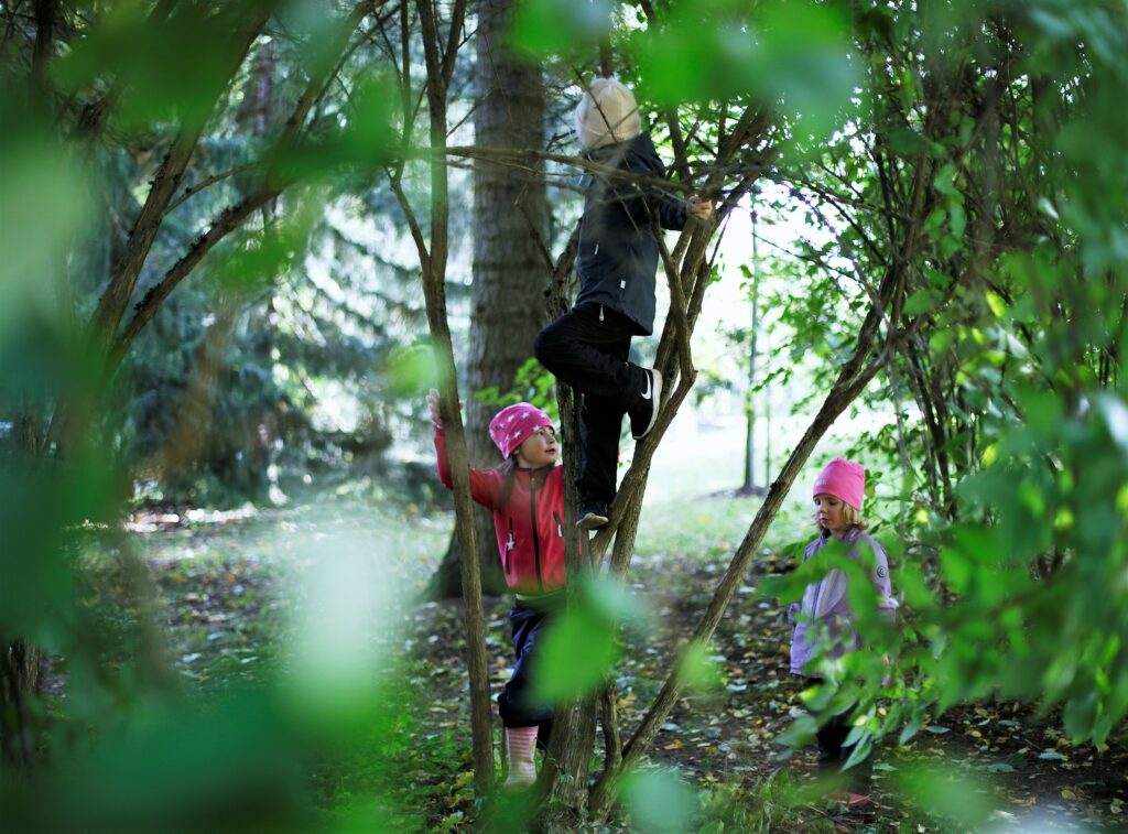 Three children are climbing deciduous trees.