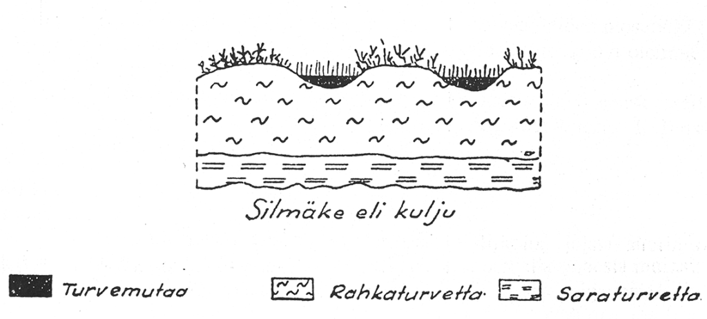 Poikkileikkauskuva silmäkkeestä eli kuljusta, jossa pohjalla saraturvetta ja päällimmäiset kerrokset rahkaturvetta ja turvemutaa.