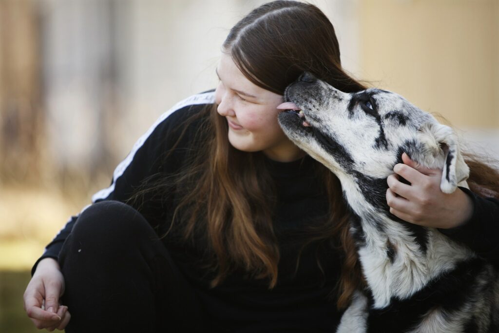 Labradorinnoutaja Blaze nuolee Emma Frilanderin korvaa