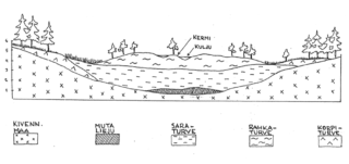 Kuvassa on kuvattuna keidassuon maaperä. Alimmainen kerros on kivennäismaata, sen päällä mutalieju, sitten saraturve- ja rahkaturvekerrokset sekä korpiturve.