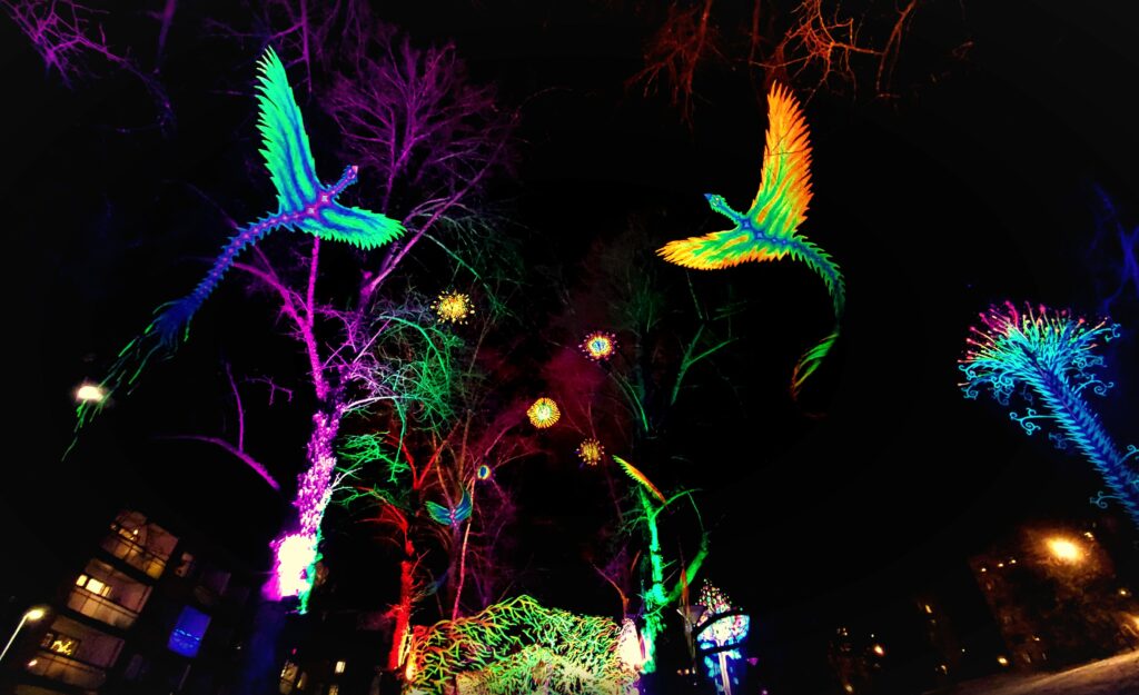 Värikäs valoinstallaatio, jossa muun muassa kaksi lintua lentää puiden välissä pimeässä illassa.