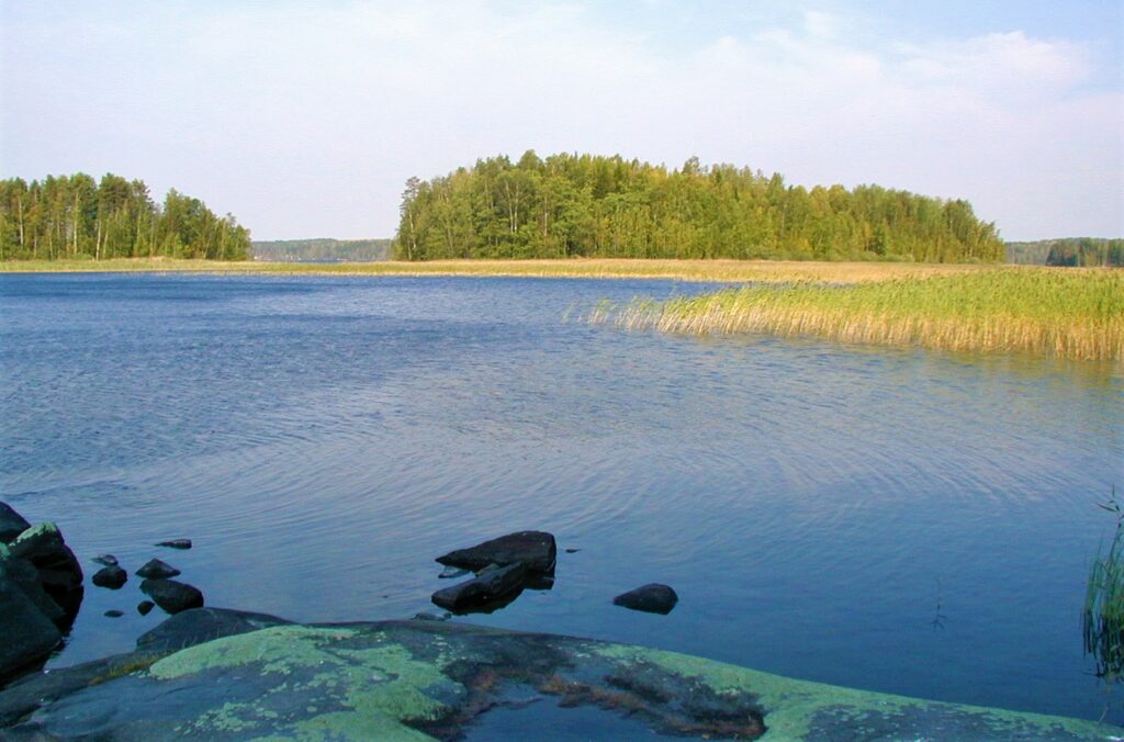 Kesäinen maisemakuva Hirvijärvestä.