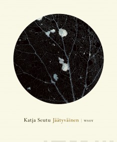 Kuvassa kirjan kansi: Jäätyväinen