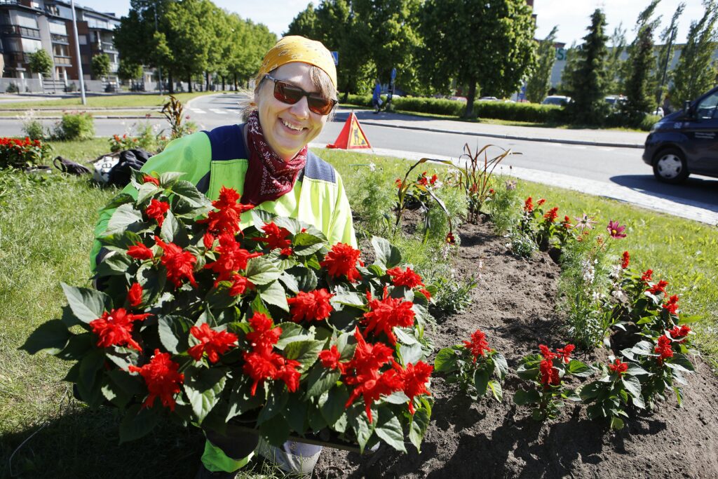 Anja Koivunurmi-Niemelä pitää sylissään suurta määrää istutettavia punaisia kukkia ja seisoo istutusalueella hymyillen.