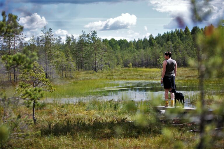 Nainen seisso koiran kanssa Hatlamminsuon lammen rannalla.