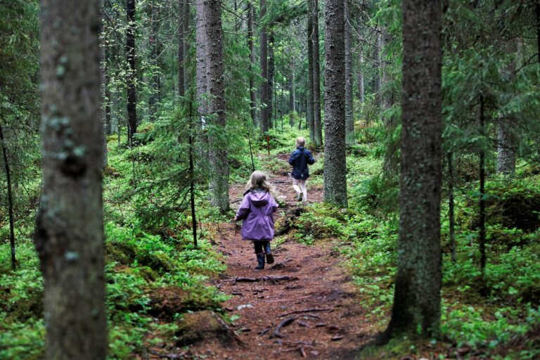 Kaksi lasta juoksee luontopolulla Vahteriston luonnonsuojelualueella.