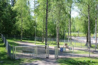 Hundpark i solskenet under tak av björkträd. Bilden visar inhägnader för större och mindre hundar.