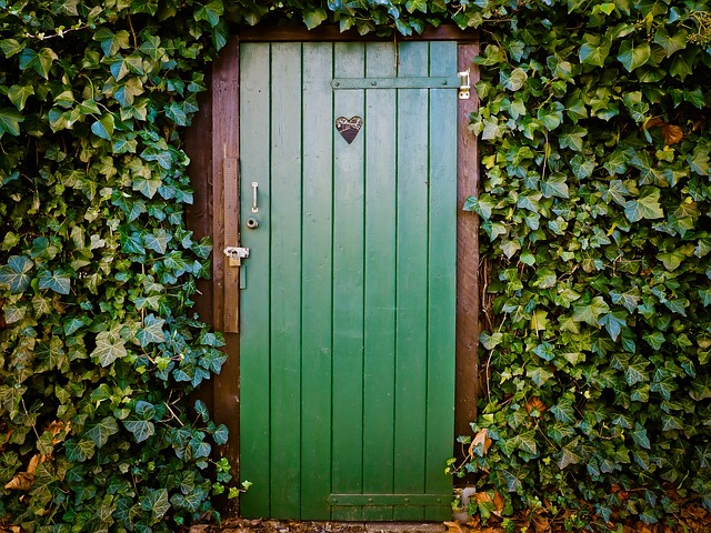 A green door with a heart, in the middle of vegetation. A picture is an illustration as a picture.