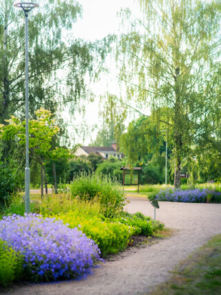 There are many plantings in the park, where the comfort of butterflies has been taken into account. There are also butterfly-shaped signs with information on the plantations.