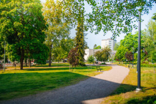 En grön park med mycket växtlighet, bakom syns biblioteksbyggnaden.