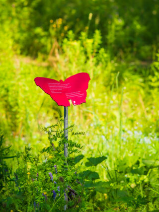 The poetry trail has butterfly-shaped poetry signs.