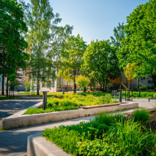 A green view of the Riihimäki library park's planting areas, which also have seating benches.