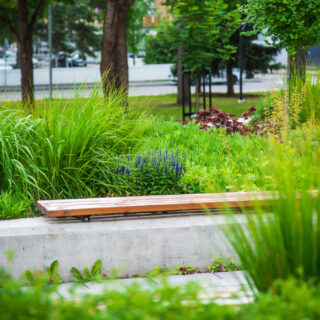 There is a bench on the edge of the seating area in the green library park where you can rest.