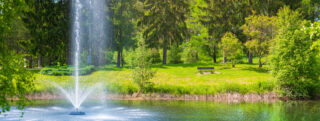 The fountain in the park's pond and the greenery of the park visible in the background.