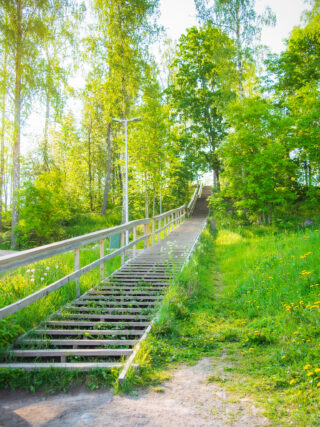 The sports stairs in the sports park are part of a versatile range of sports. There are vegetation and trees next to the stairs.