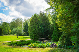 A picnic table can be found by the planting areas.