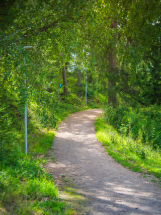 I idrottsparkens område finns en motionsspår mitt i skogen.