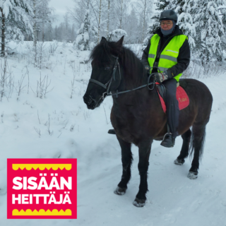 A person dressed in winter clothes on a dark horse in a winter landscape. The person is also wearing a reflective vest.