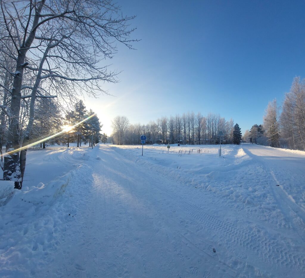 Aurinkoinen talvimaisema puuttomasta tonttialueesta.