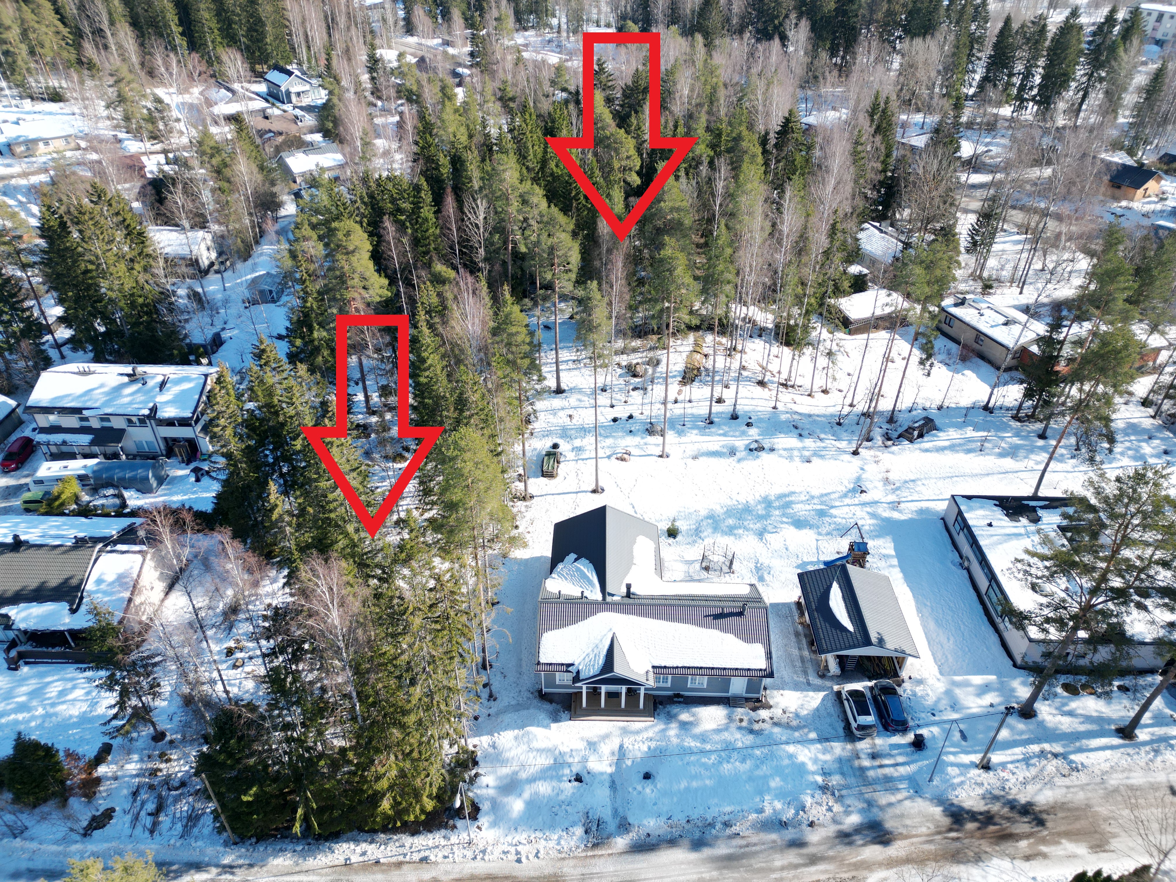 An aerial view of a winter landscape with a wooded plot with settlements on both sides. Red arrows drawn on the forest plot.