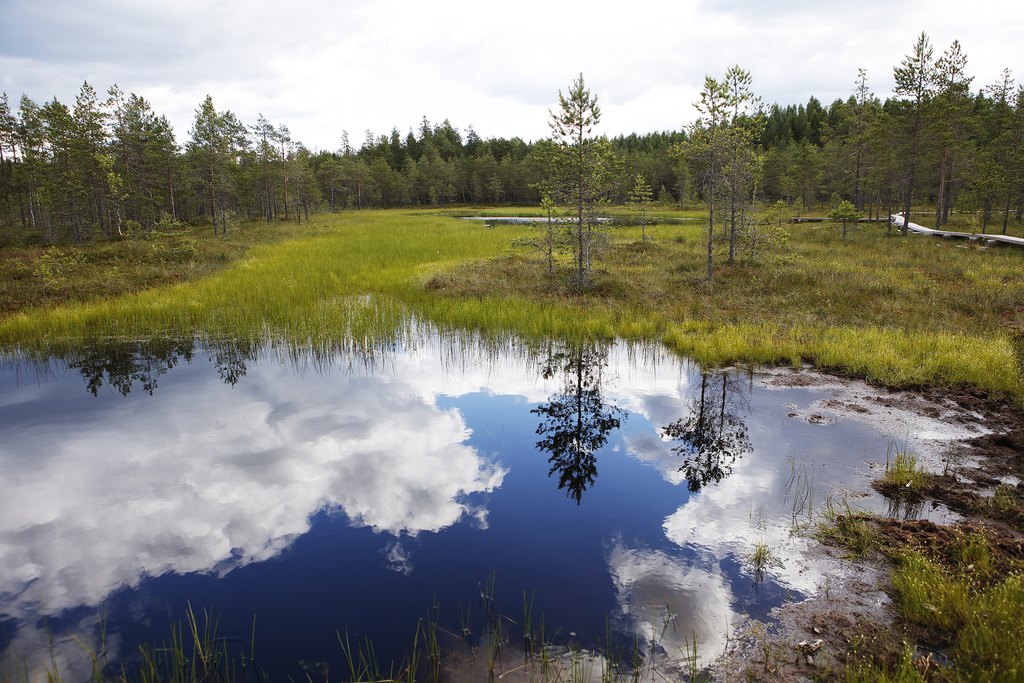 Matalaa vihreää suomaisemaa, jossa sininen lampi, josta valkoiset pilvet heijastuvat.