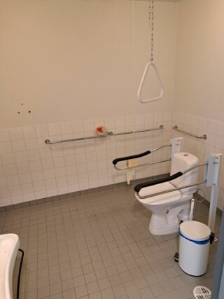Vessanpöntön vieressä on roskakori, tukikaiteita ja hälytin.