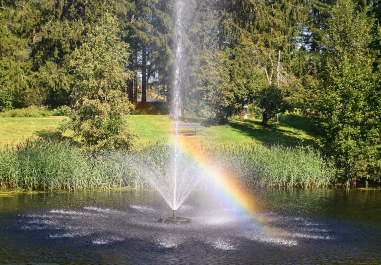 Suihkulähde luonnon keskellä. Vedestä heijastuvat sateenkaaren värit.