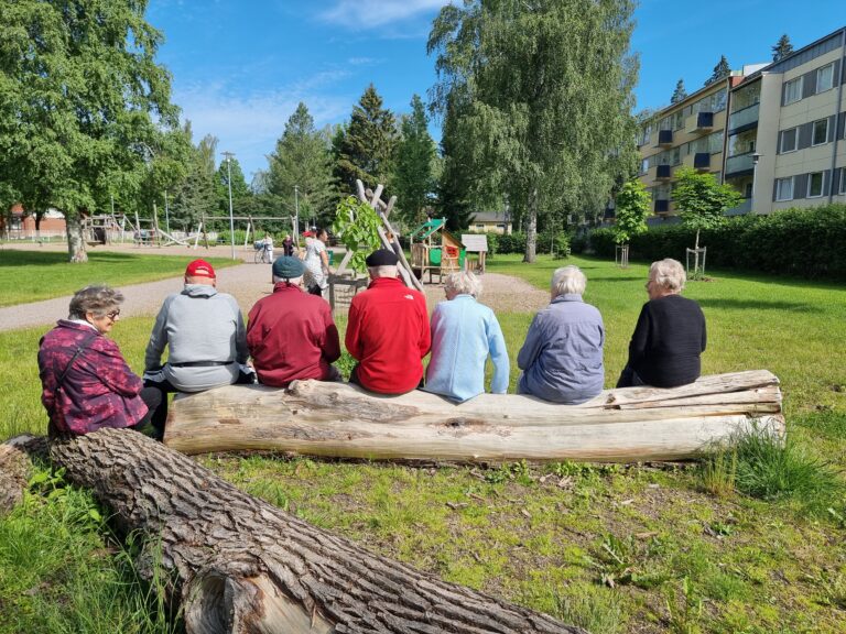 Seitsemän iäkästä henkilö istuu kaatuneen puun päällä ja katselee leikkipuistoon.