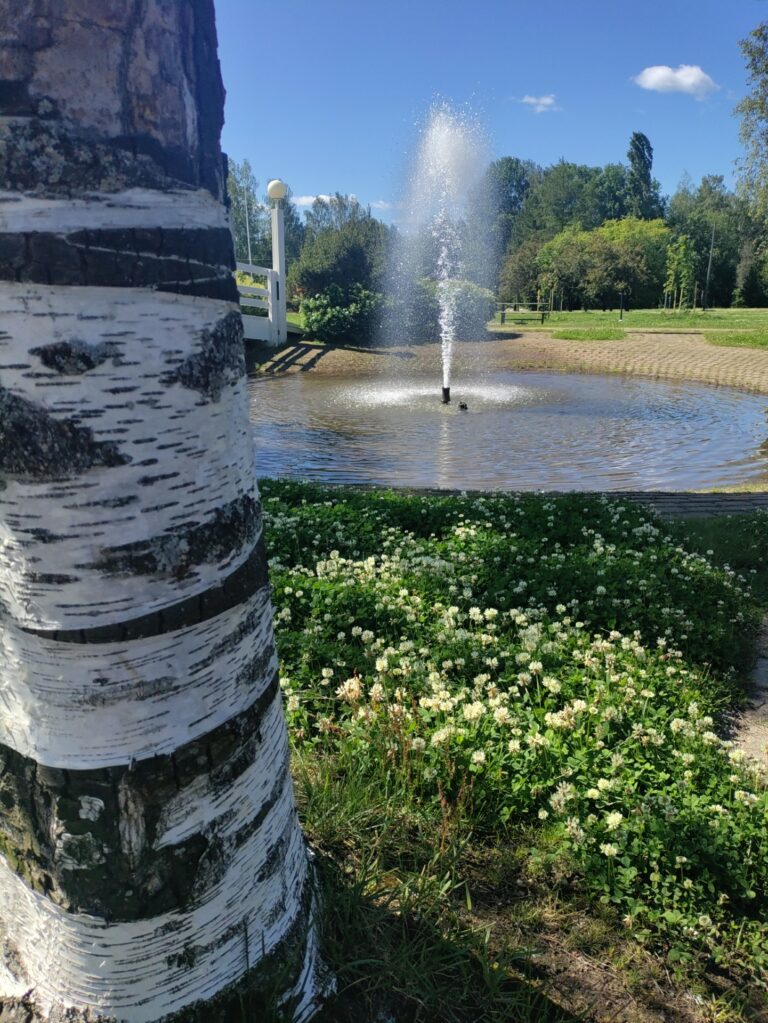Etualalla koivu ja sen takana suihkulähde