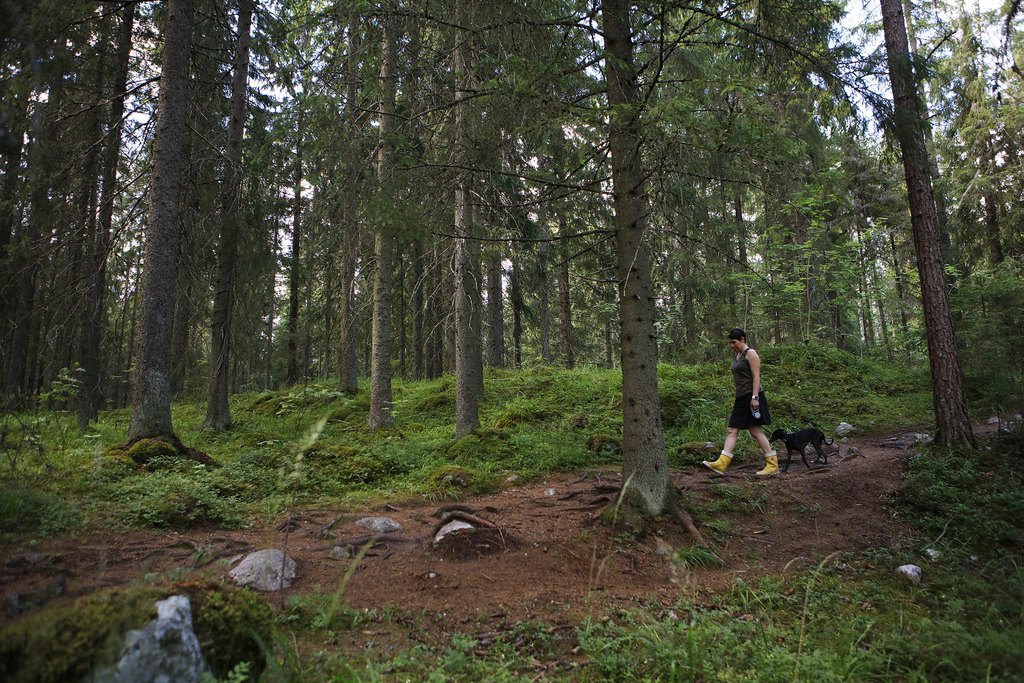 Nainen kävelee tummassa metsässä polulla koiraansa taluttaen.