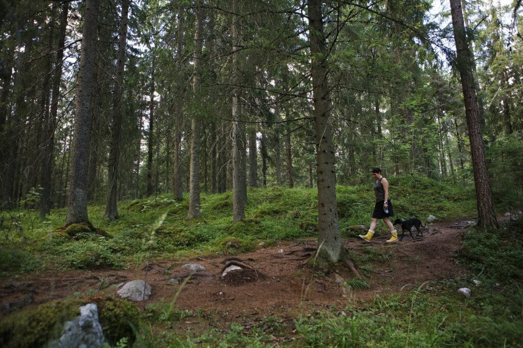 Nainen ulkoilemassa metsässä koiransa kanssa ja kumisaappaat jalassa.