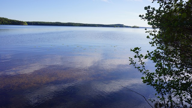 järvenrannalta näkyy järven ulappa, jonka takana siintää vastaranta. Järven vesi on läpikuultavaa.