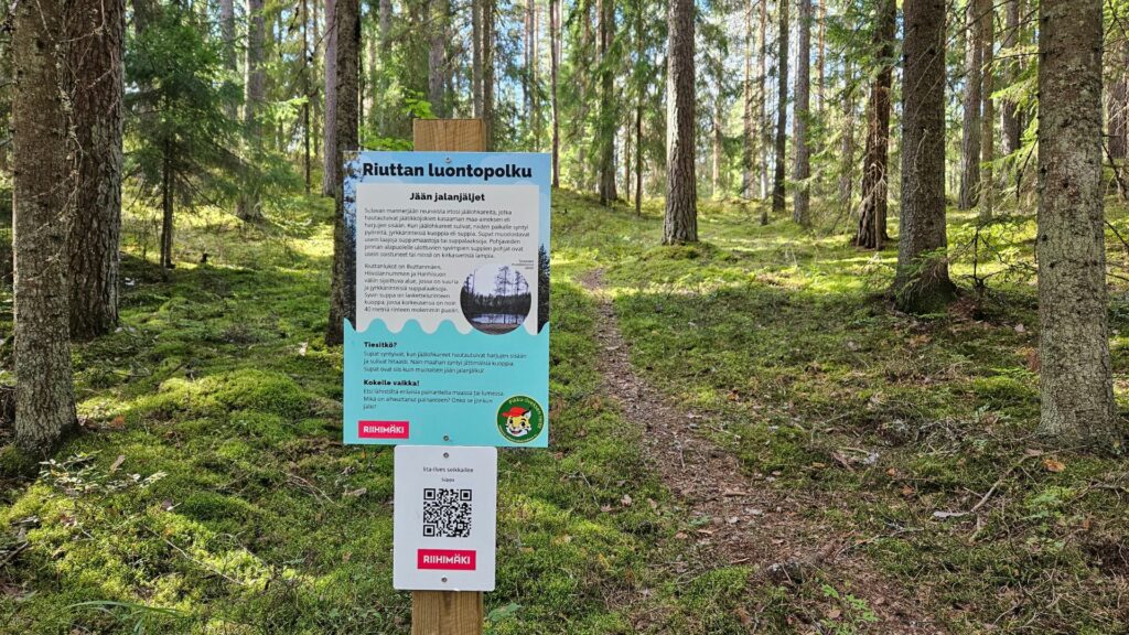 Infokyltti metsässä, jossa kulkee polku. Aurinko paistaa puun runkojen väleistä.
