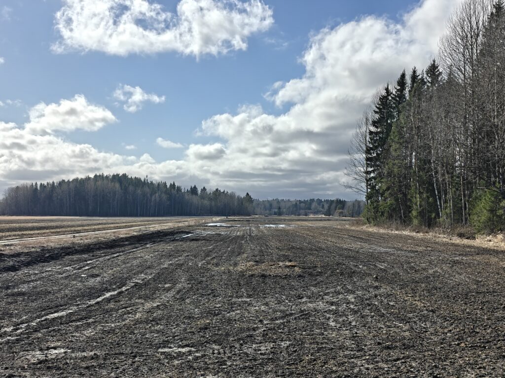 Peltoaukea, taustalla metsäinen mäki.