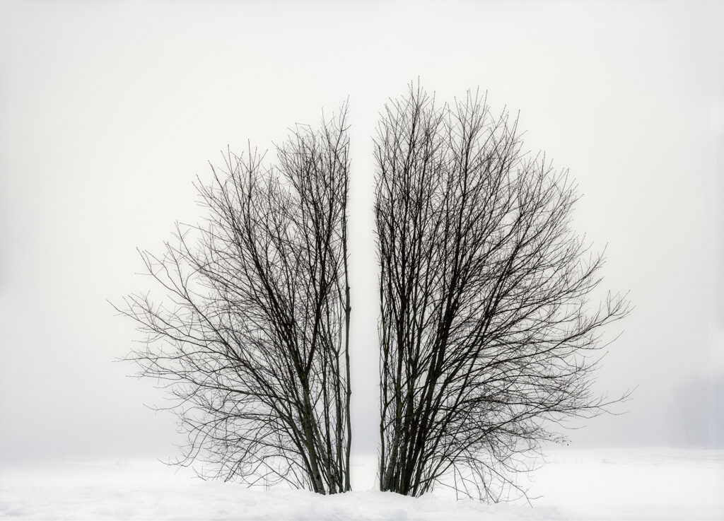 Antti Laitisen teos Broken Landscape.