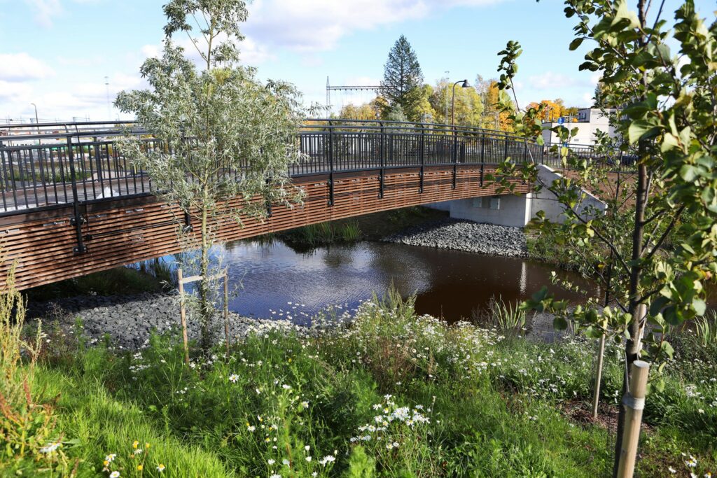 Kävelijöiden silta joen yli, nuoria puita ja muuta vehreää kasvillisuutta joen varrella.