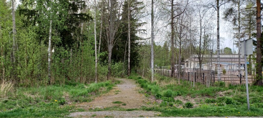 metsä, jonka takana näyy päiväkoti.