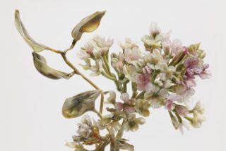 Lilla Tabasson lasitaideteos: Omaggio a Rosalba Carriera (Lilac detail), 2021-2023, Murano. Kuvan on ottanut Roberto Marossi.