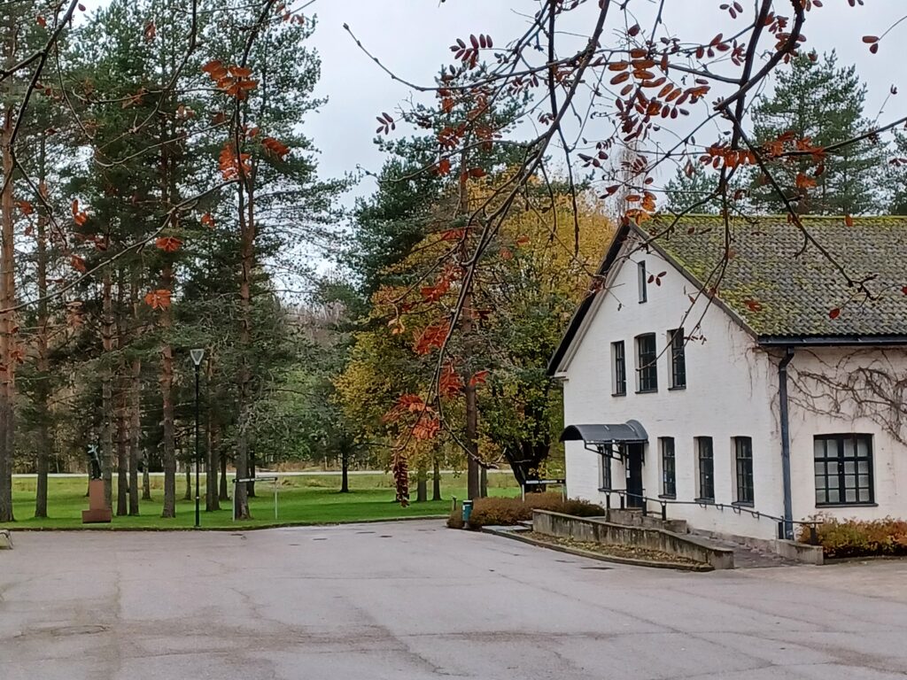 Vaalea rakennus ja pihapuita.